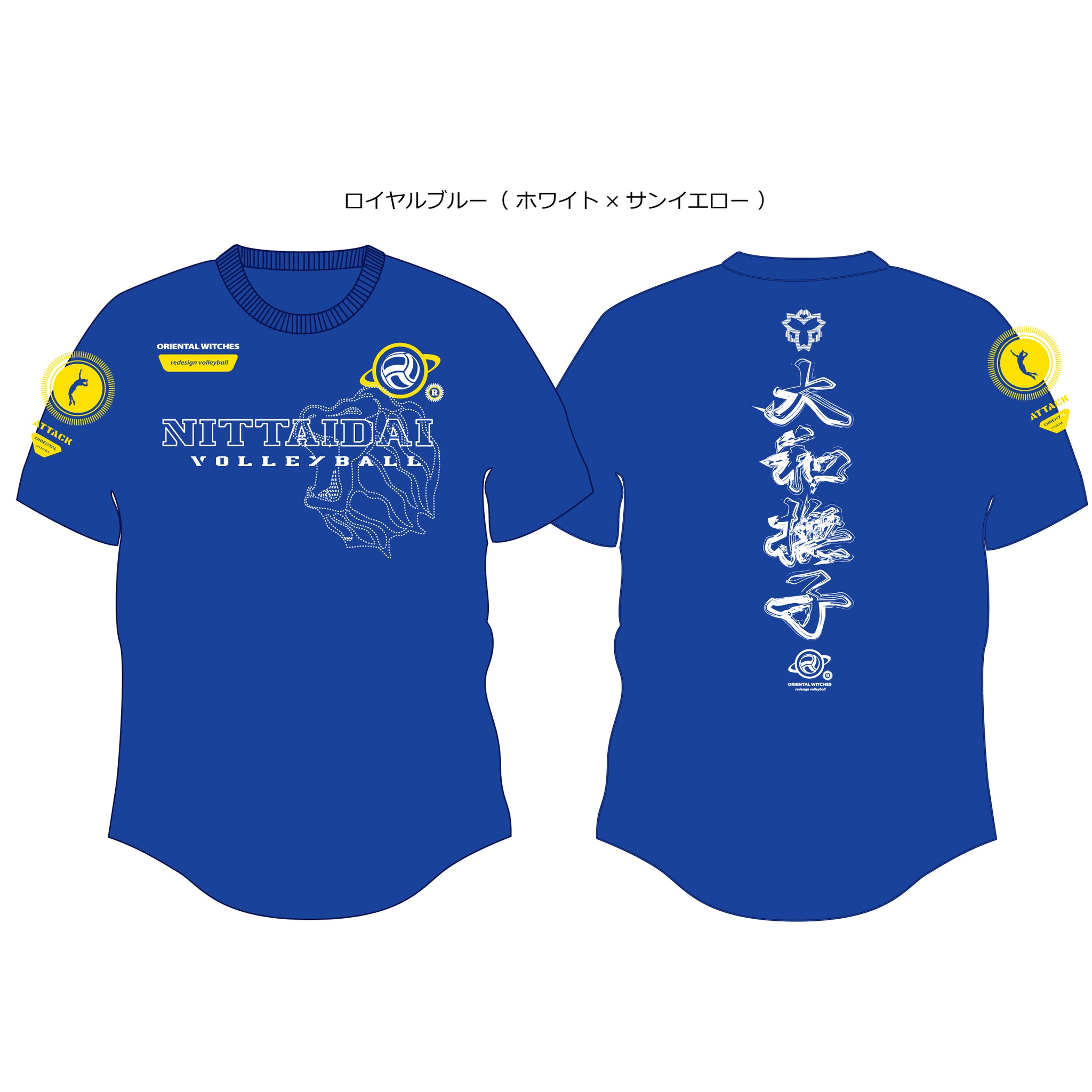 バレーボール　ロンt 日体大 バレーボール Tシャツ 日体大 日本体育大学 青 ブルー
